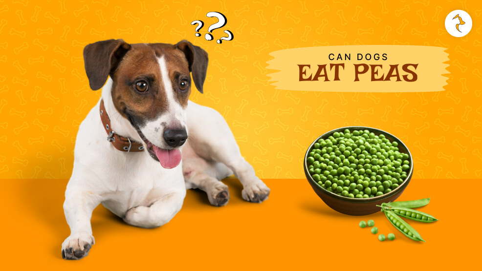 Can Dogs Eat Peas