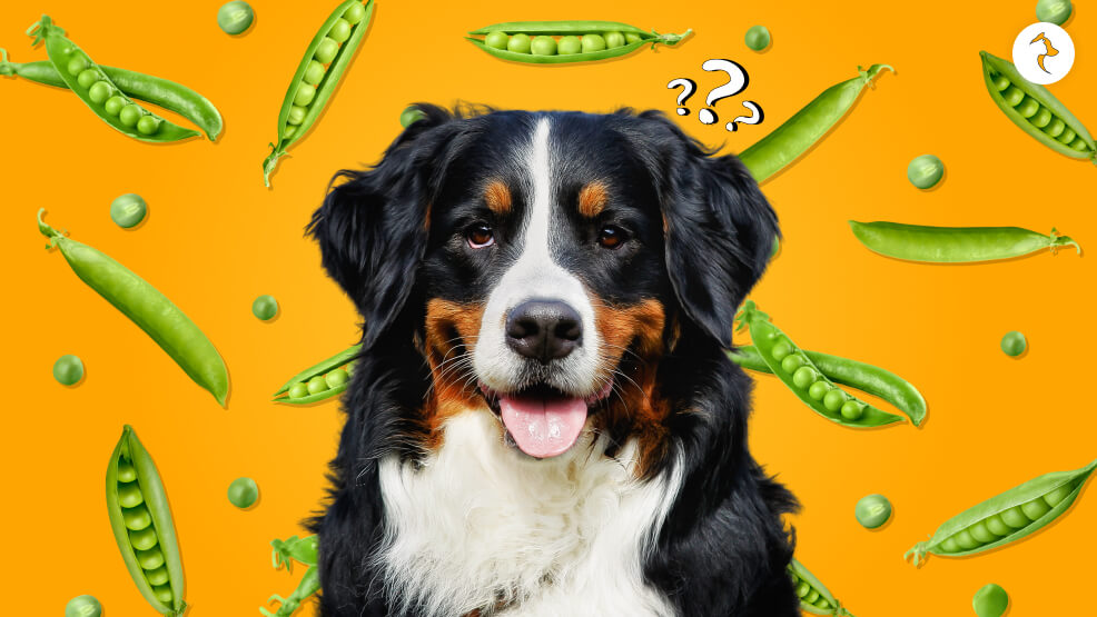 Can Dogs Eat Peas