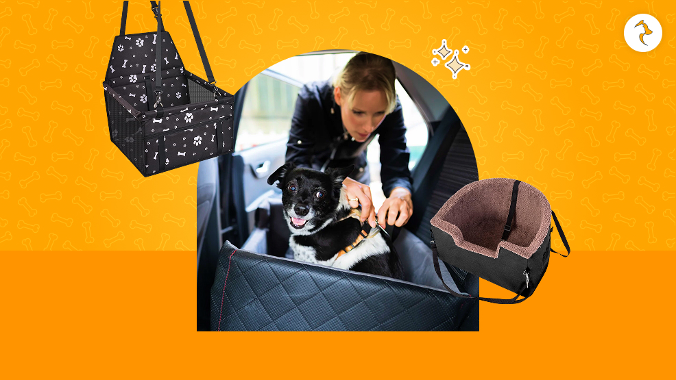 Dog Car Seat_ Our Top Picks