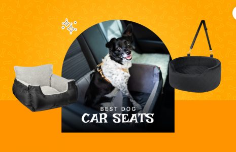 Best dog car seat