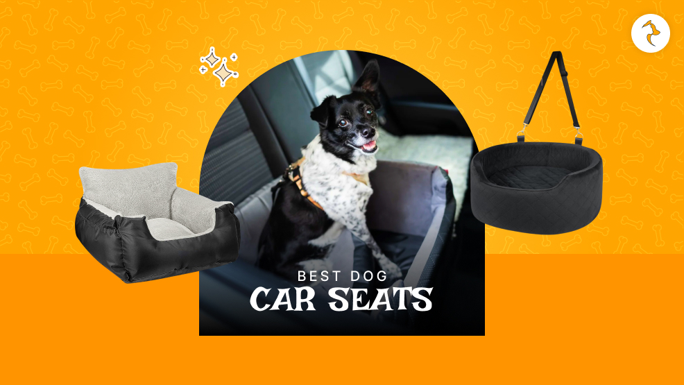 Best dog car seat