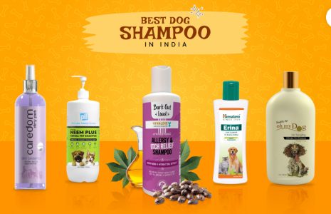 best dog shampoo in India