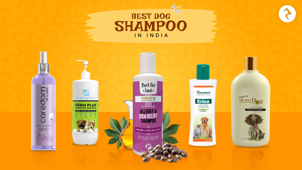 best dog shampoo in India