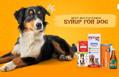 best multivitamin syrup for dog
