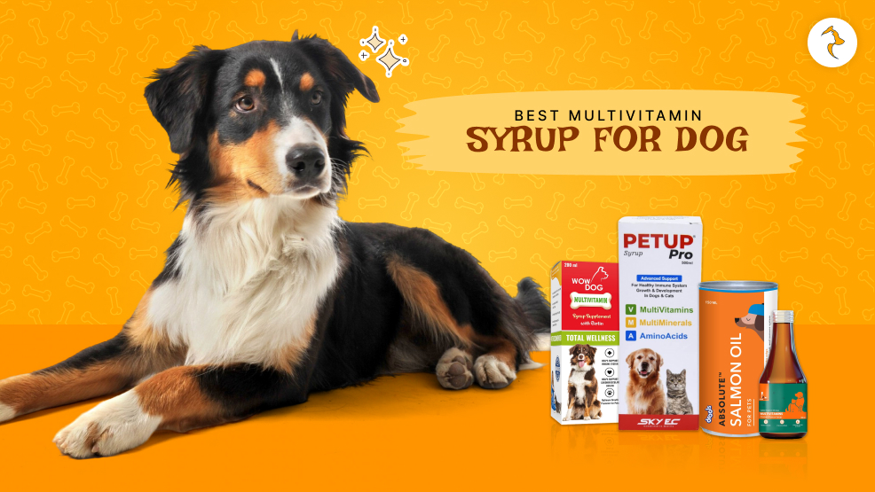 best multivitamin syrup for dog