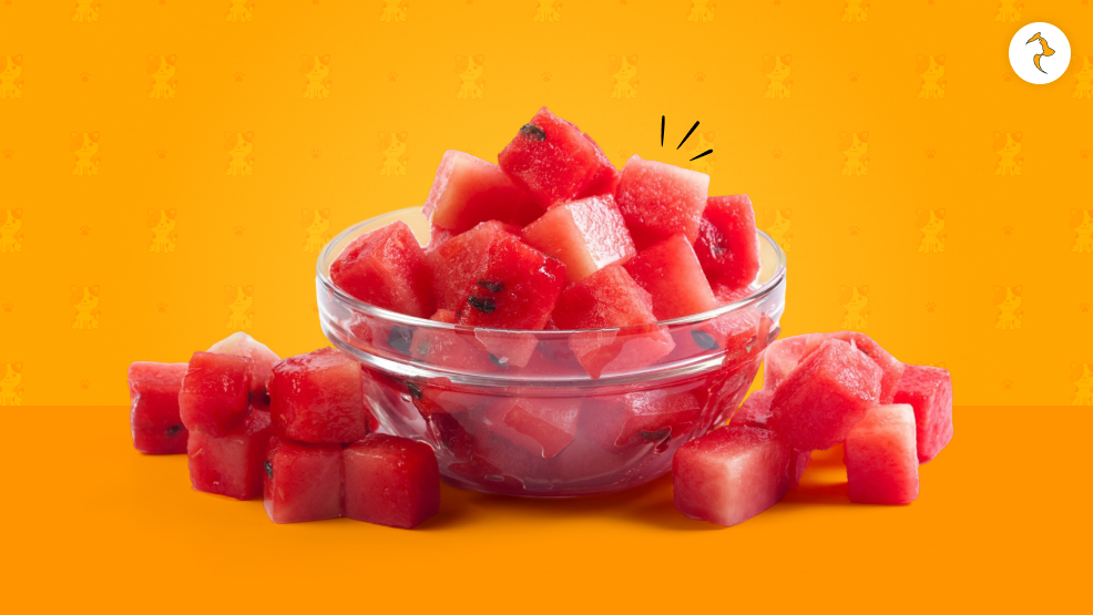 How To Safely Give Them Watermelons