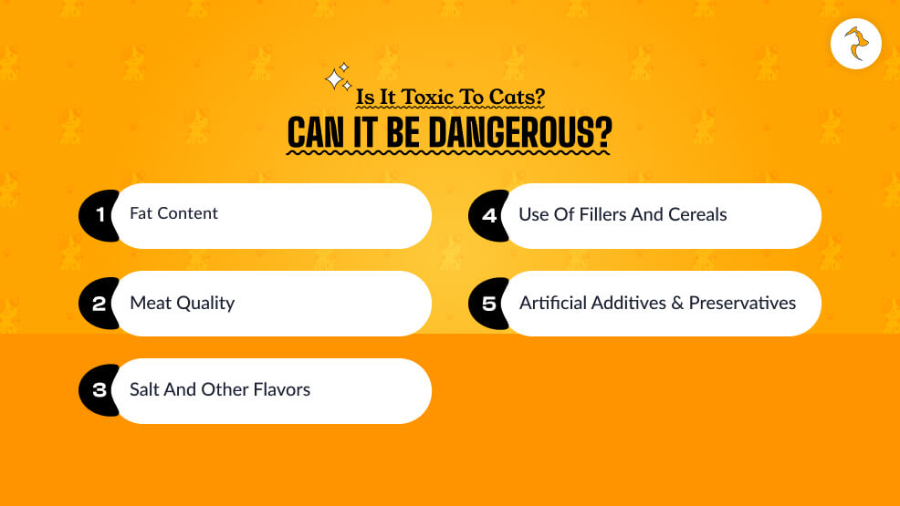 Is It Toxic To Cats_ Can It Be Dangerous