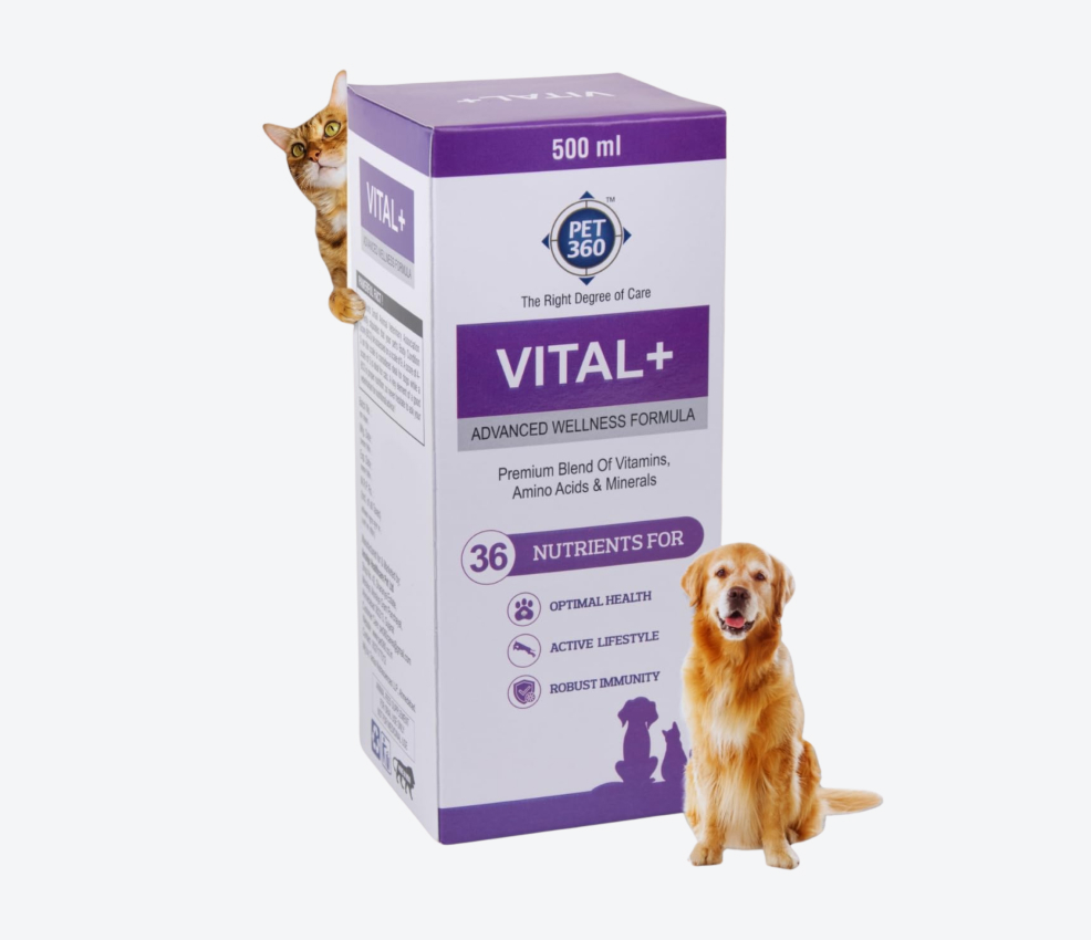 PET360 Vital+ Advanced Wellness Formula For Dogs & Cats