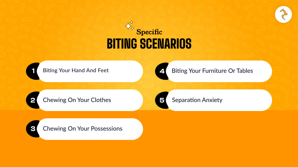 Specific Biting Scenarios