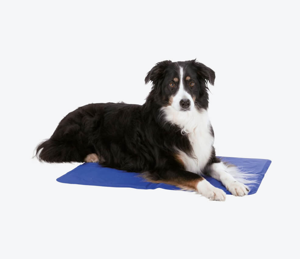 Trixie Cooling Mat 