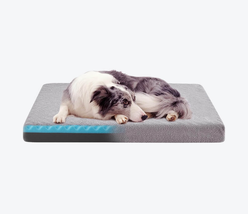  WATANIYA PET Cooling Bed for Large Dogs 