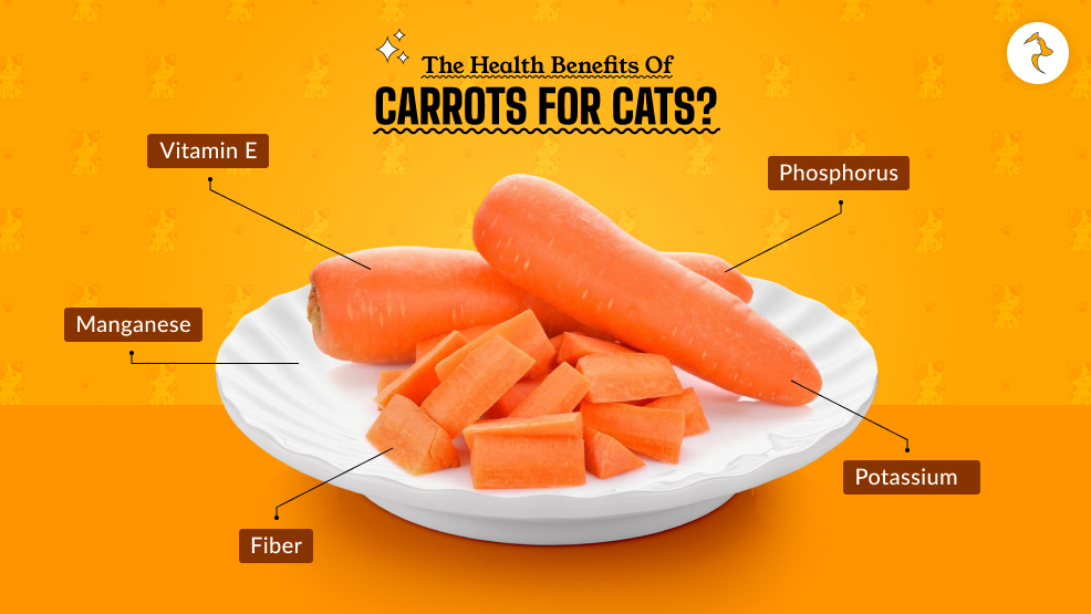 What Are The Health Benefits Of Carrots For Cats