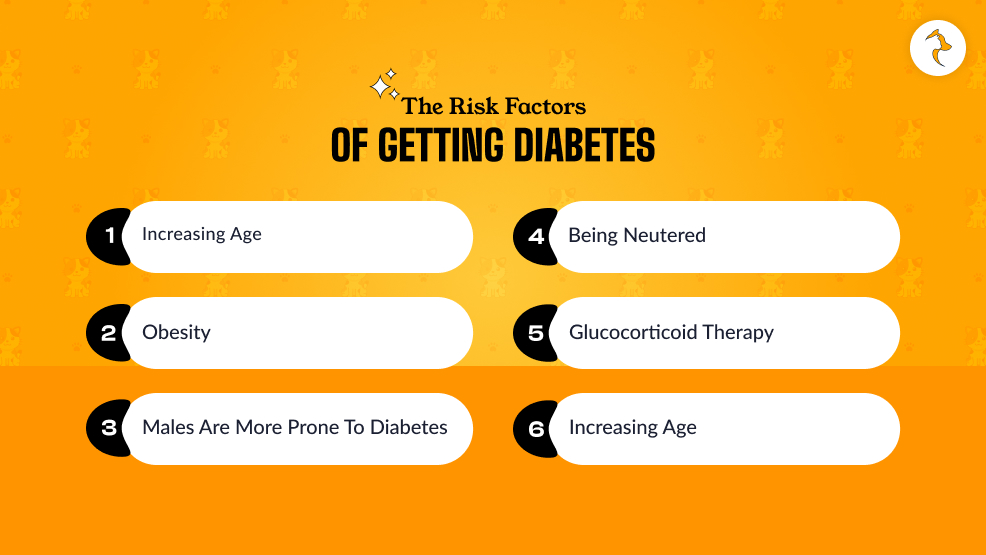 What Are The Risk Factors Of Getting Diabetes