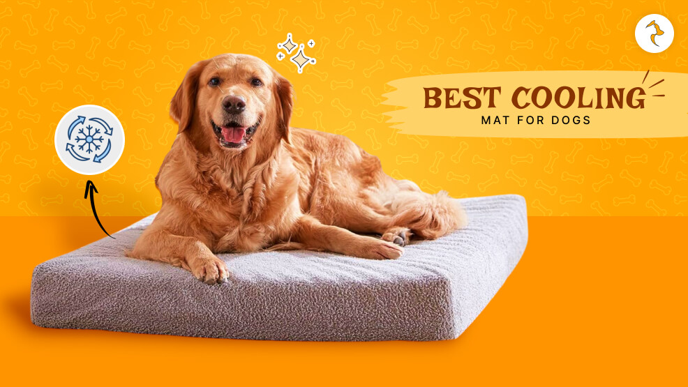 cooling mat for dogs
