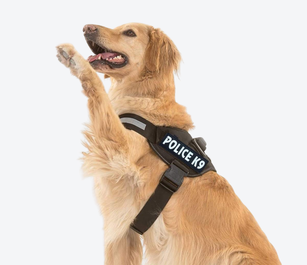 24x7 eMall Dog K9 Police Dog Harness Vest