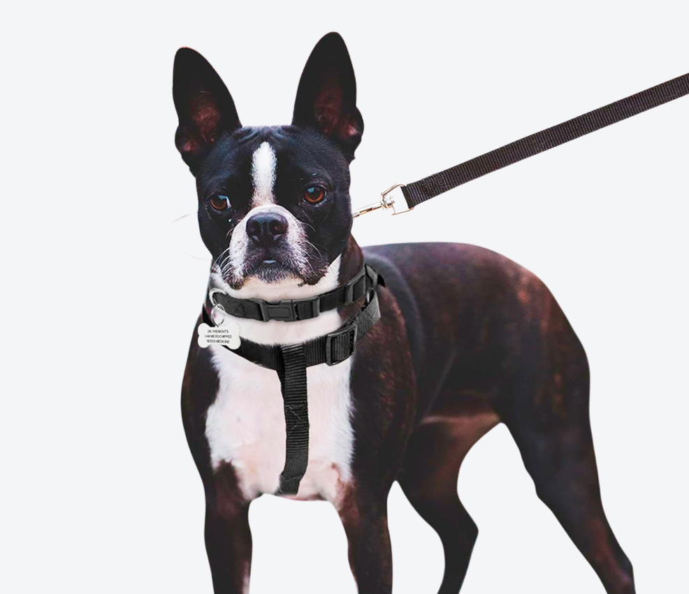Agirav No Pull Dog Harness