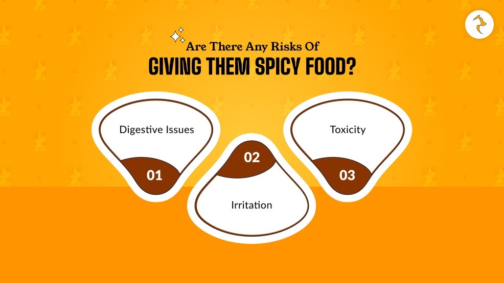 Are There Any Risks Of Giving Them Spicy Food