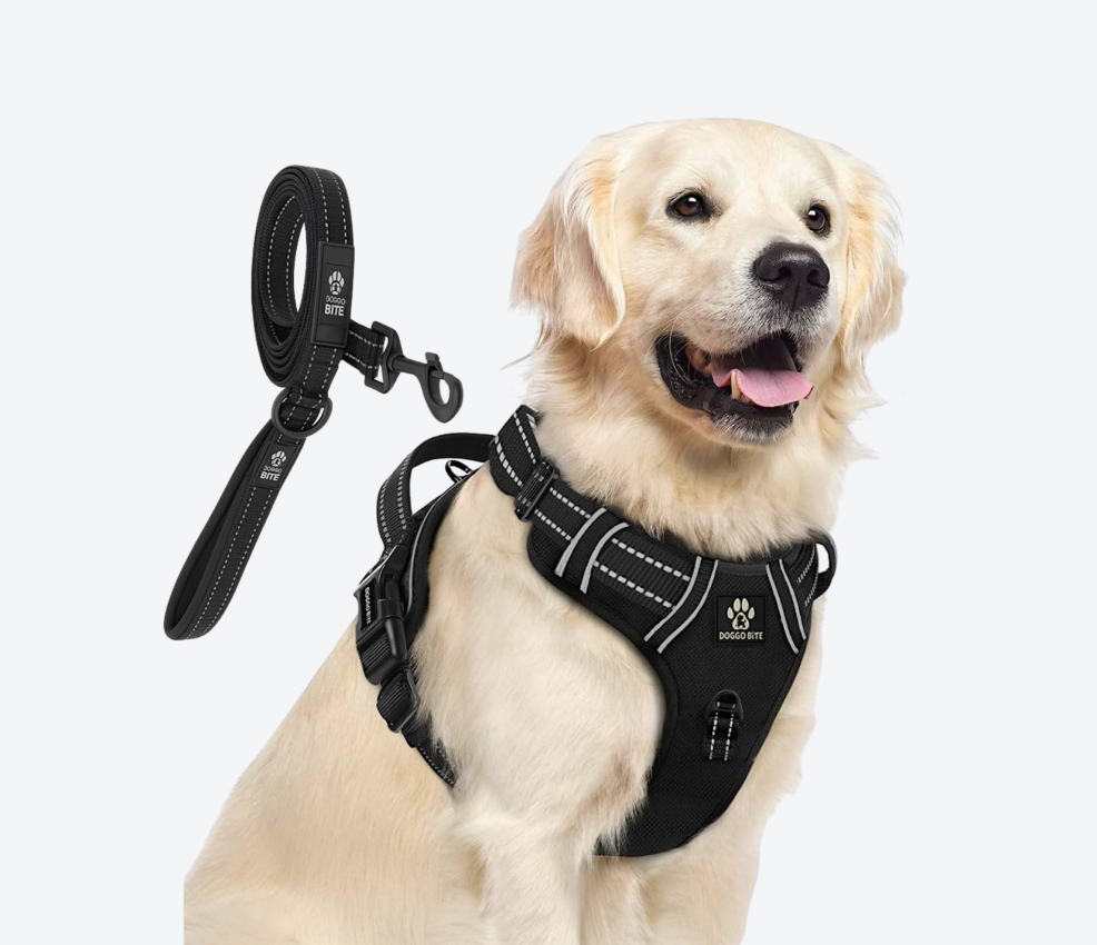 Doggo Bite Premium Reflective Dog Vest Harness