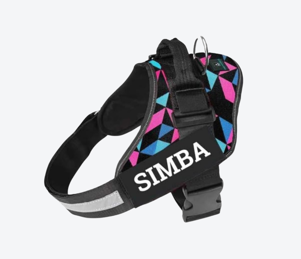 Eagle Pets Customized Dog Vest Harness With Pet Name