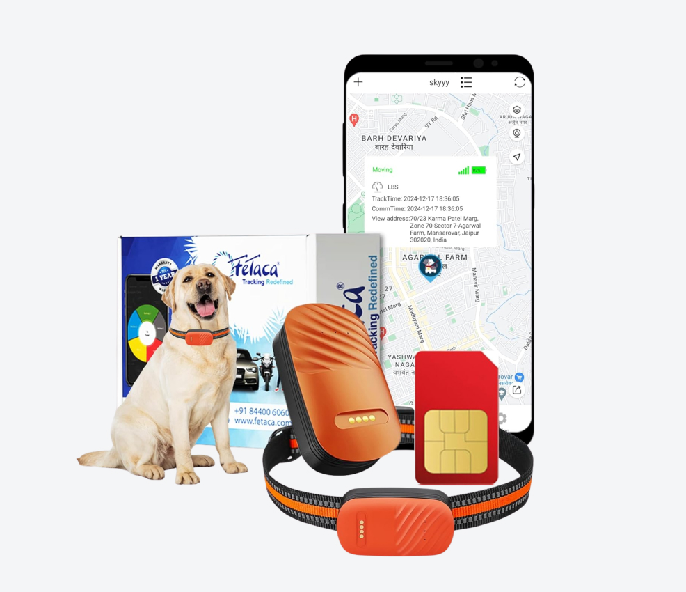 FETACA Smart 4G Pet GPS Tracker