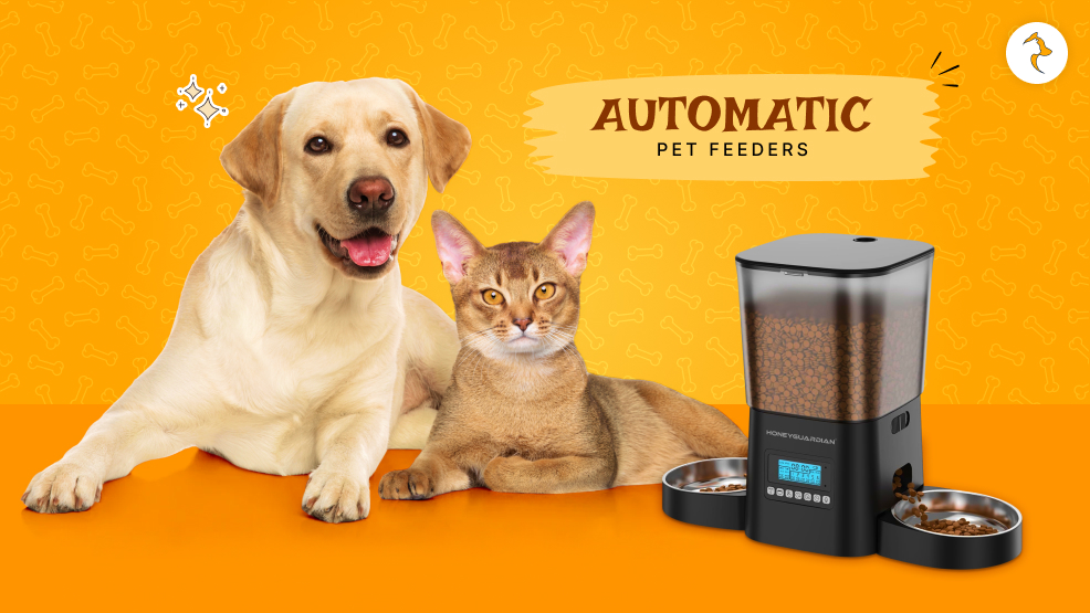 automatic pet feeder