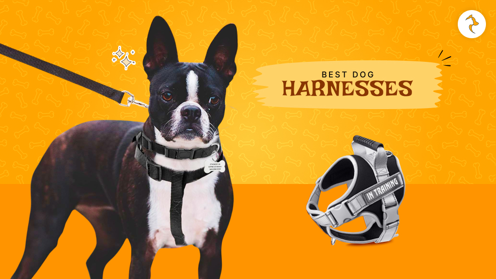 dog harnesses