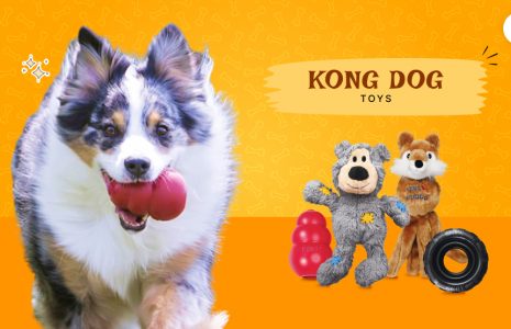 Kong dog toys