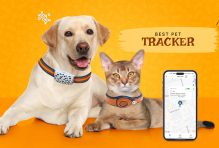 Best pet tracker