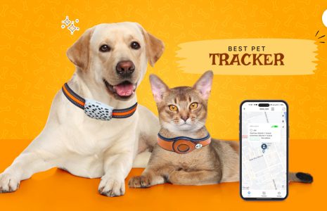 Best pet tracker