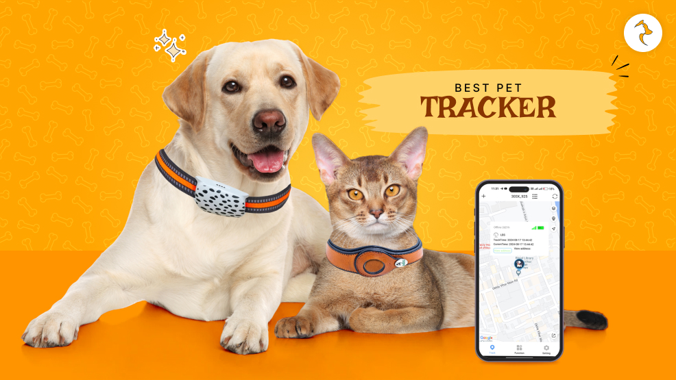 Best pet tracker