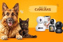 Pet camera