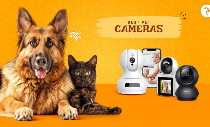 Pet camera