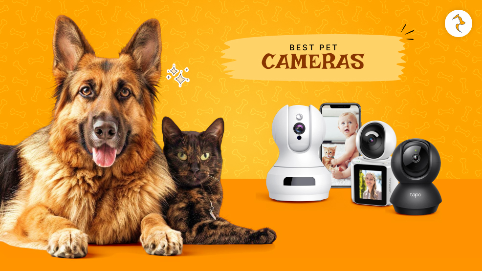 Pet camera