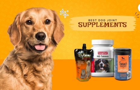 dog joint supplement