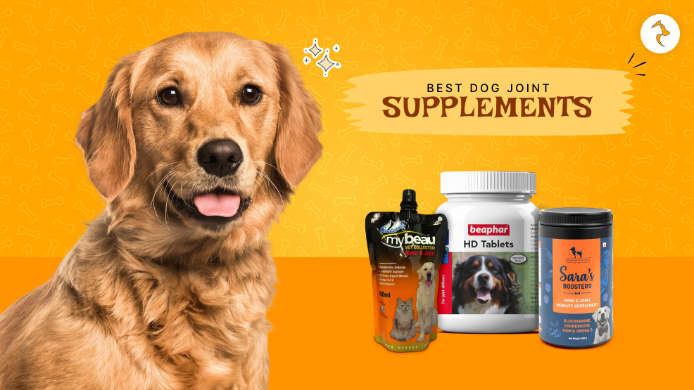dog joint supplement