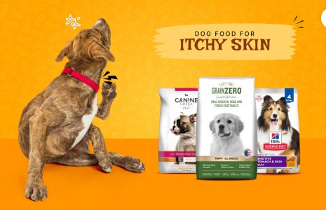 dog food for itchy skin