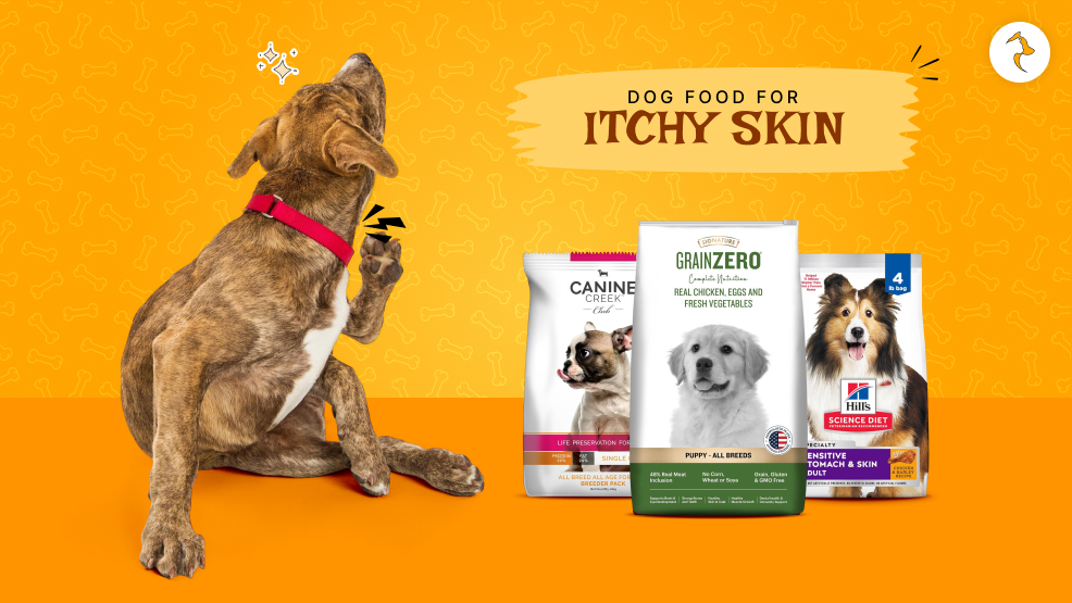 dog food for itchy skin