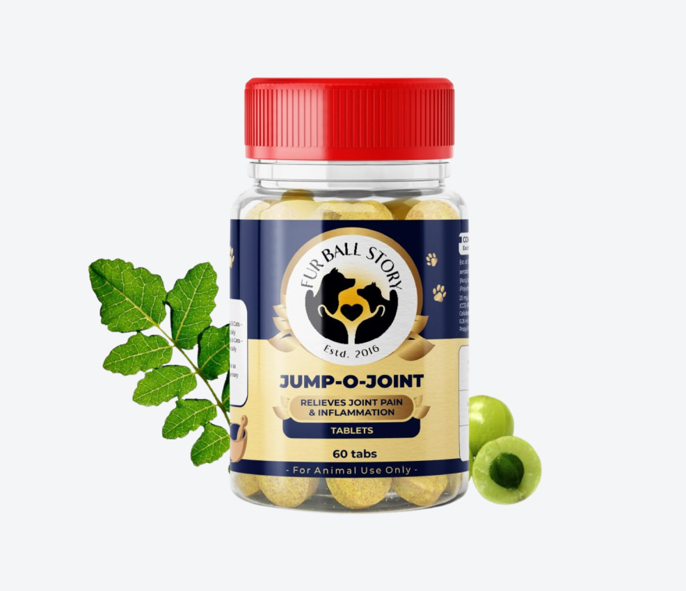 Fur Ball Story Jump-O-Joint Pain Relief Supplements