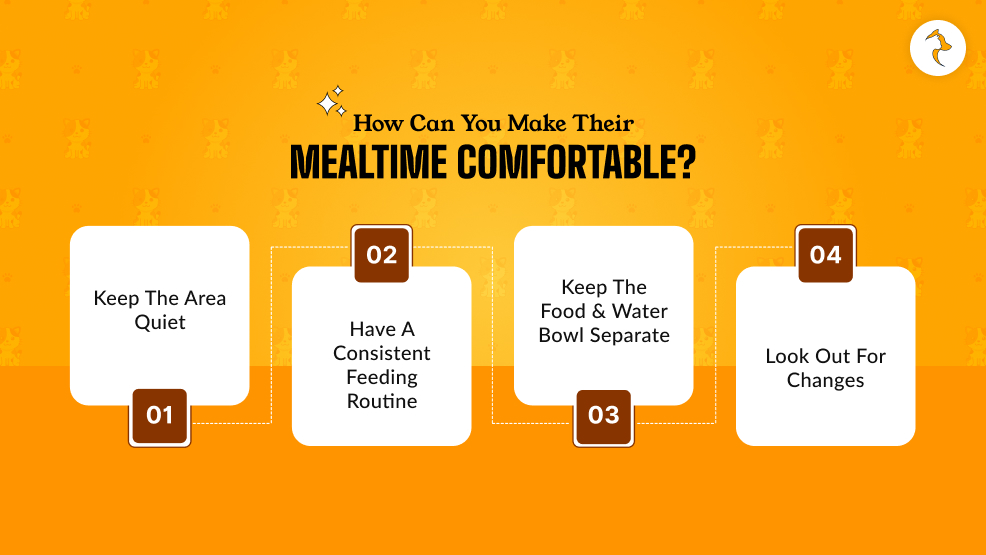 How Can You Make Their Mealtime Comfortable_