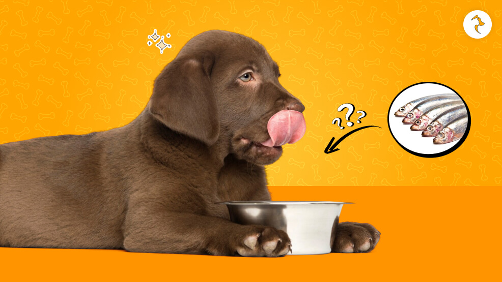 How Much Should You Give Theme