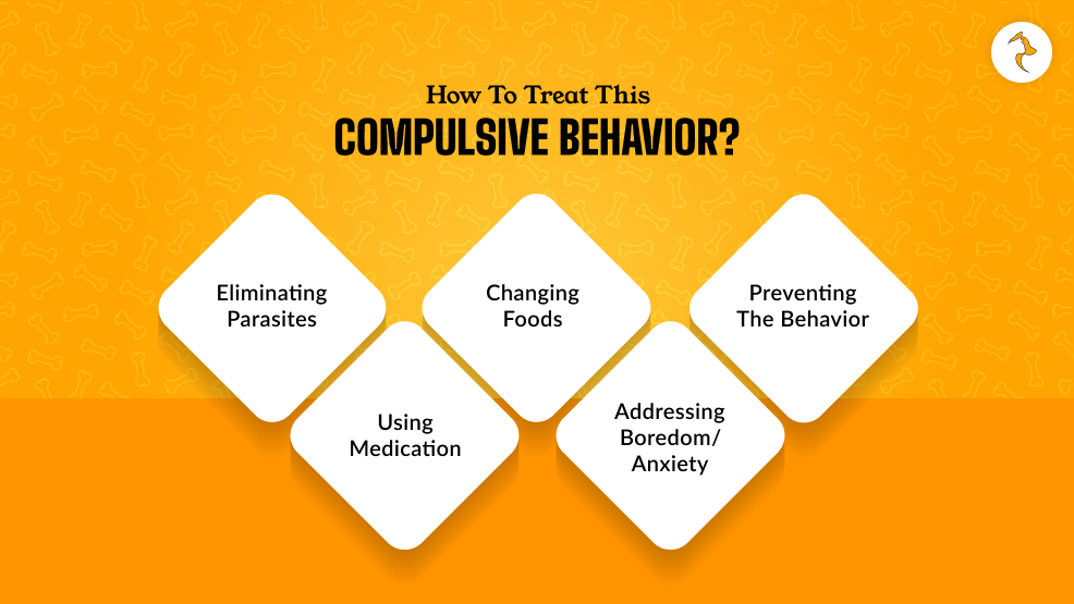 How To Treat This Compulsive Behavior
