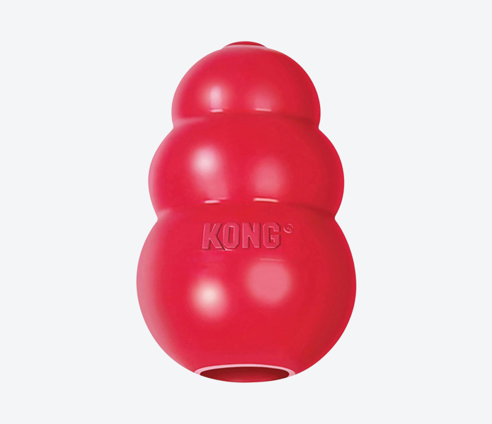 Kong Classic Dog Toy