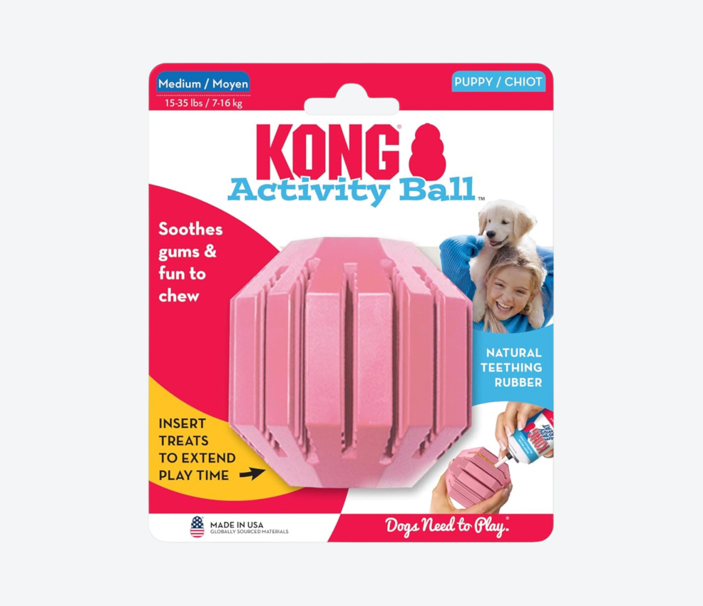 Kong Puppy Activity Ball
