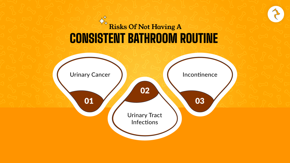 Risks Of Not Having A Consistent Bathroom Routine