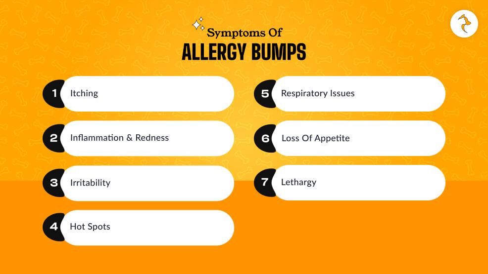 Symptoms Of Allergy Bumps