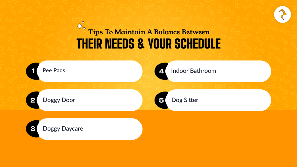 Tips To Maintain A Balance Between Their Needs & Your Schedule