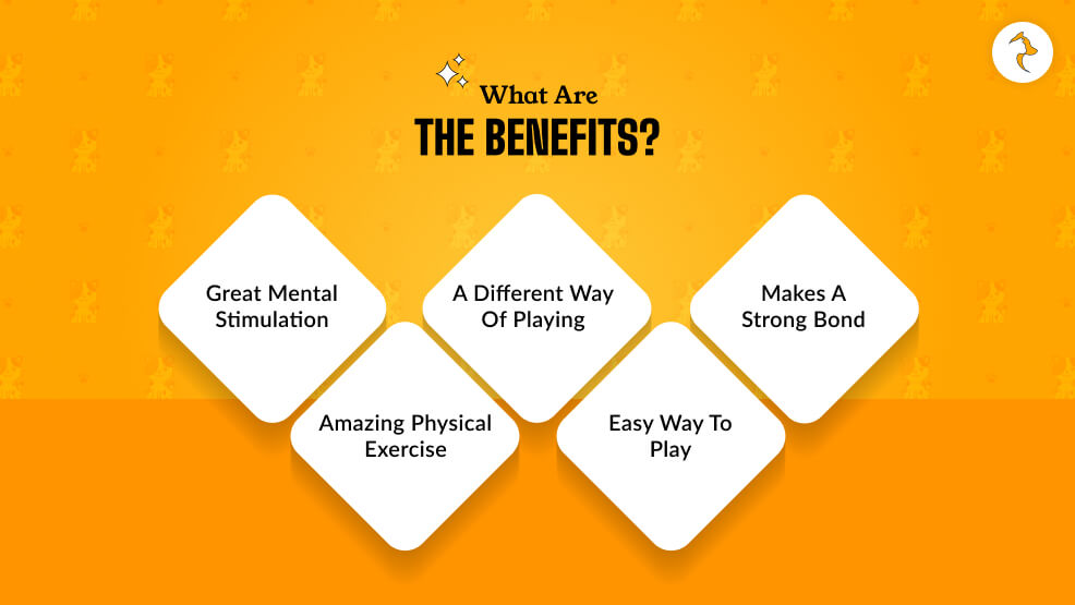 What Are The Benefits