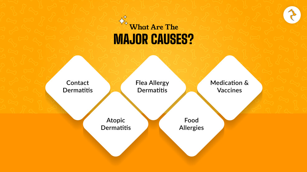 What Are The Major Causes_