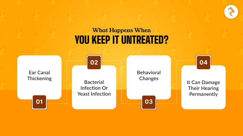 What Happens When You Keep It Untreated_