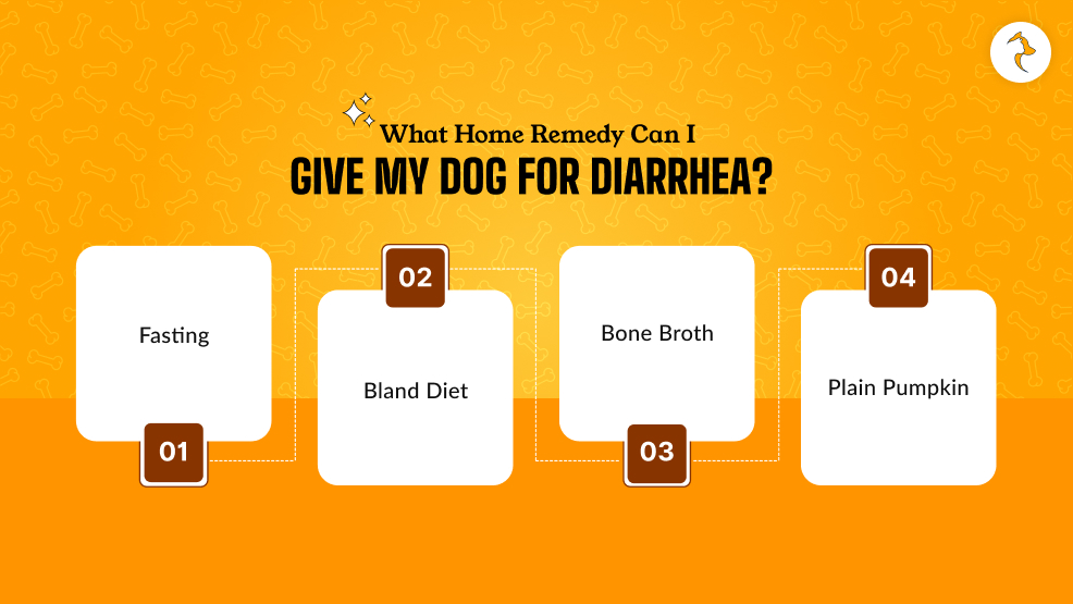 What Home Remedy Can I Give My Dog For Diarrhea_